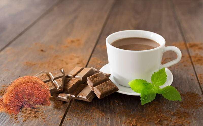 شکلات داغ دکتر بیز,هات چاکلت گانودرما,هات چاکلت دکتر بیز,قهوه های گانودرما
