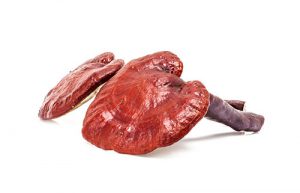 گانودرما ریشی لوسیدم
