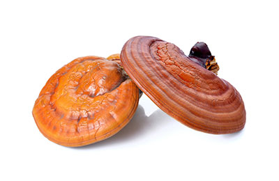 صابون گانودرما