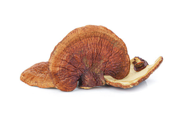 آنتی اکسیدان چیست؟,آنتی اکسیدان,مواد غذایی حاوی آنتی اکسیدان,مواد غذایی سرشار از آنتی اکسیدان,قهوه های گانودرما منبع آنتی اکسیدان,گانودرما و قهوه و آنتی اکسیدان