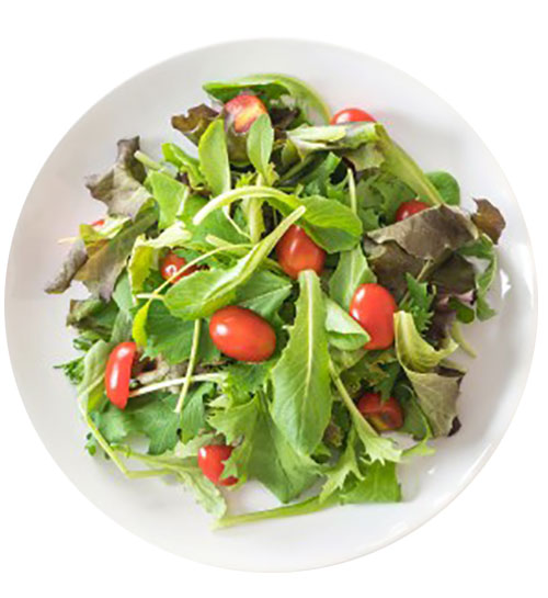 محبوبترین رژیم های غذایی لاغری,بهترین رژیم لاغری,متداولترین رژیم لاغری,معروفترین رژیم لاغری,پرطرفدارترین رژیم غذایی,بهترین رژیم لاغری