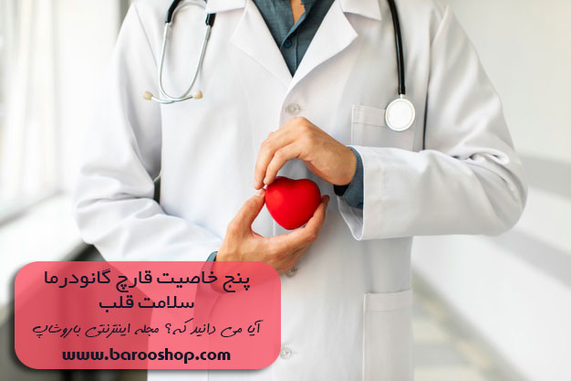 پنج خاصیت قارچ گانودرما,خواص قارچ گانودرما,5 خاصیت قارچ گانودرما,گانودرما,قهوه های گانودرما,شرکت بیز,دکتر بیز,گانودرما بیز