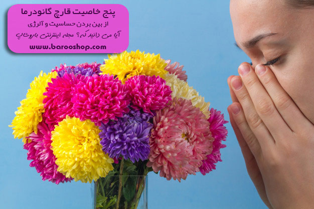 پنج خاصیت قارچ گانودرما,خواص قارچ گانودرما,5 خاصیت قارچ گانودرما,گانودرما,قهوه های گانودرما,شرکت بیز,دکتر بیز,گانودرما بیز