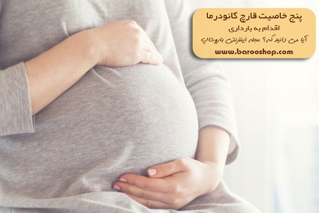 پنج خاصیت قارچ گانودرما,خواص قارچ گانودرما,5 خاصیت قارچ گانودرما,گانودرما,قهوه های گانودرما,شرکت بیز,دکتر بیز,گانودرما بیز