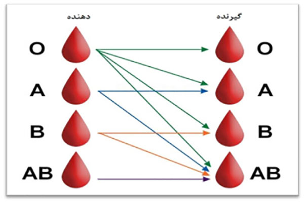خونریزی،خون چیست،خونریزی در بارداری،خون چگونه تشکیل میشود،ترکیبات خون،رنگ خون،گروه خونی،تنوع گروه خونی در ایران،دلیل تنوع گروه خونی،