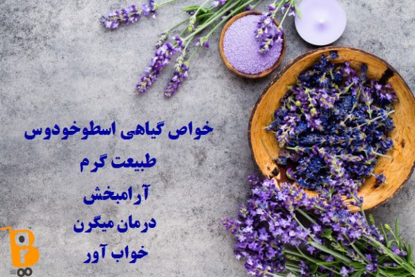 عرق گیاهی اسطوخودوس|خواص اسطوخودوس| مضرات اسطوخودوس|مجله اینترنتی باروشاپ