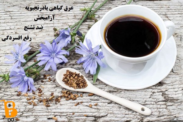 عرق گیاهی بادرنجبویه|خواص بادرنجبویه| مضراتعرق گیاهی سنبل الطیب|خواص سنبل الطیب| مضرات سنبل الطیب|مجله اینترنتی باروشاپ|مجله اینترنتی باروشاپ