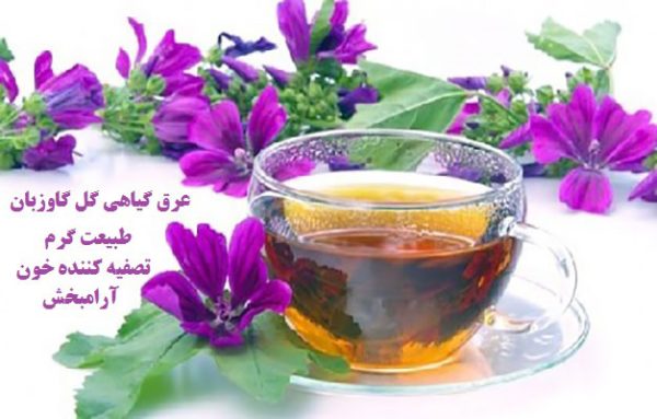 عرق گیاهی گل گاوزبان|خواص گل گاوزبان|مضرات گل گاوزبان|مجله اینترنتی باروشاپ