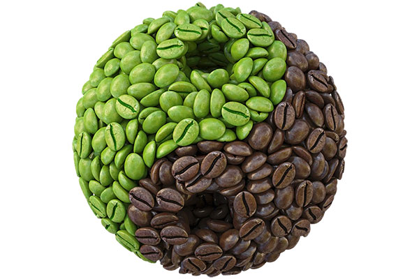 قیمت و خرید قهوه سبز،فرق قهوه سبز و سیاه،خرید انواع قهوه سبز و سیاه،قیمت قهوه سبز و سیاه