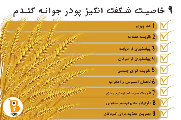 خرید و قیمت پودر جوانه گندم بین استار 20 اردیبهشت 1404