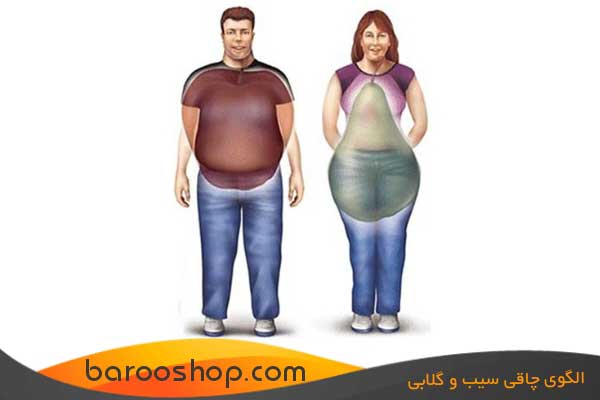 الگوی چاقی سیب و گلابی،الگوی چاقی گلابی برای زنان و سیب برای مردان،پیشگیری از چاقی