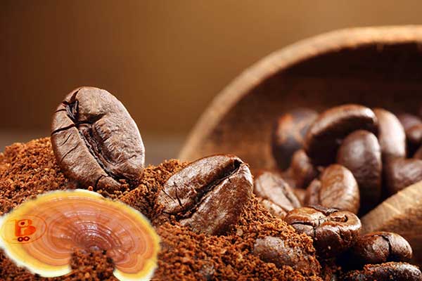 30 خاصیت شگفت انگیز قارچ گانودرما لوسیدوم،خواص قارچ گانودرما